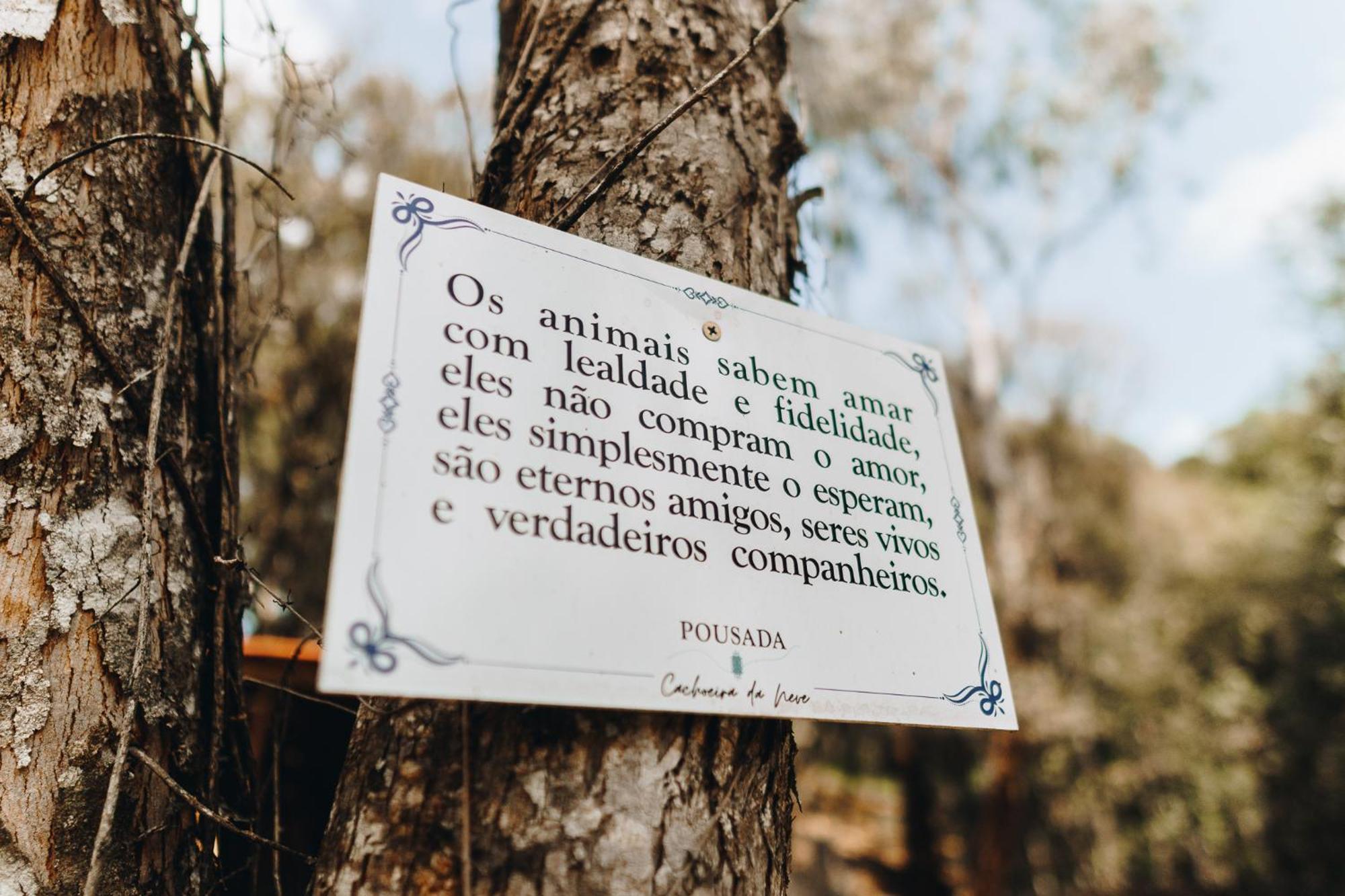Chale Harmonia Da Floresta- Pousada Cachoeira Da Neve Urubici Buitenkant foto