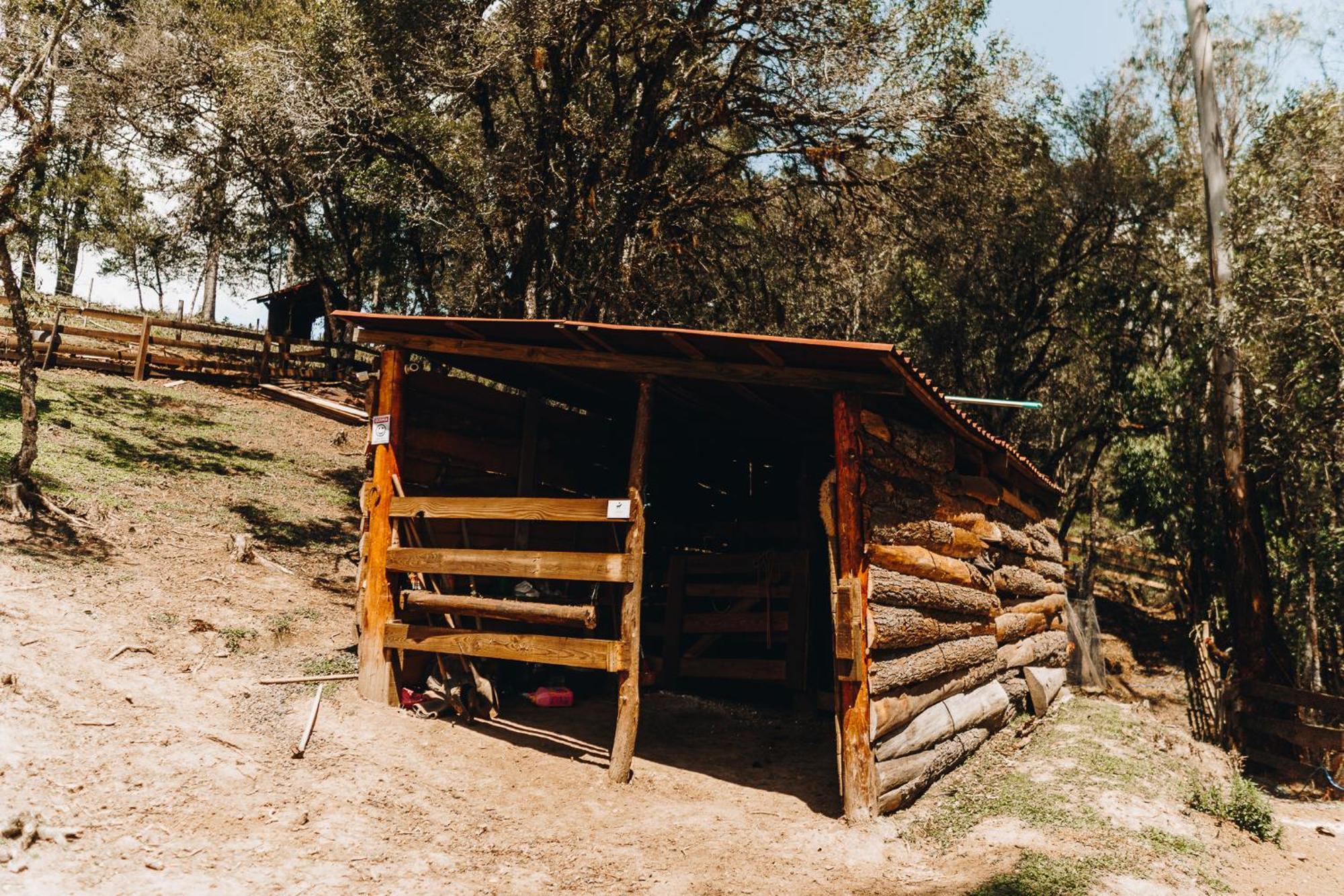 Chale Harmonia Da Floresta- Pousada Cachoeira Da Neve Urubici Buitenkant foto