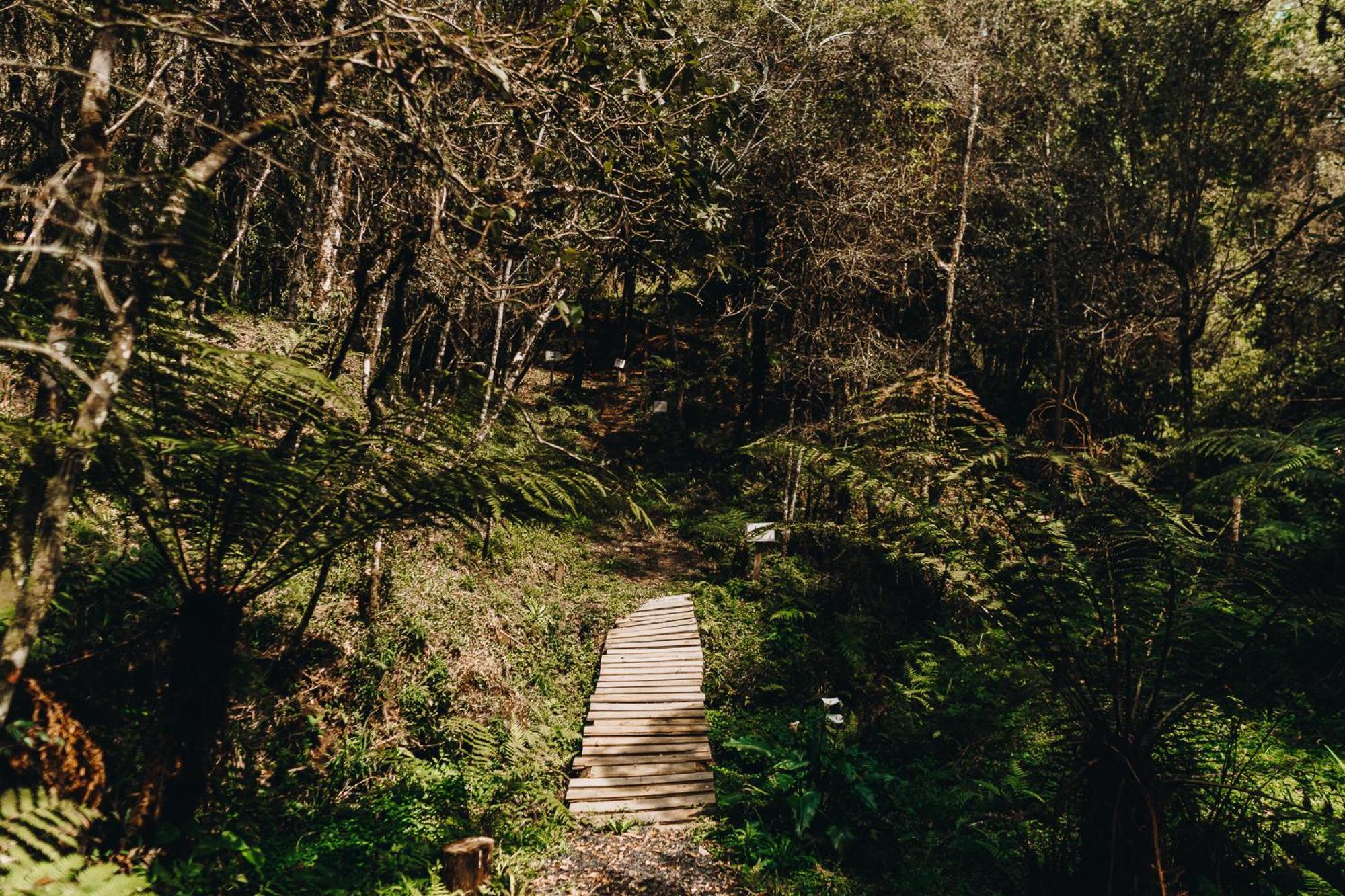 Chale Harmonia Da Floresta- Pousada Cachoeira Da Neve Urubici Buitenkant foto