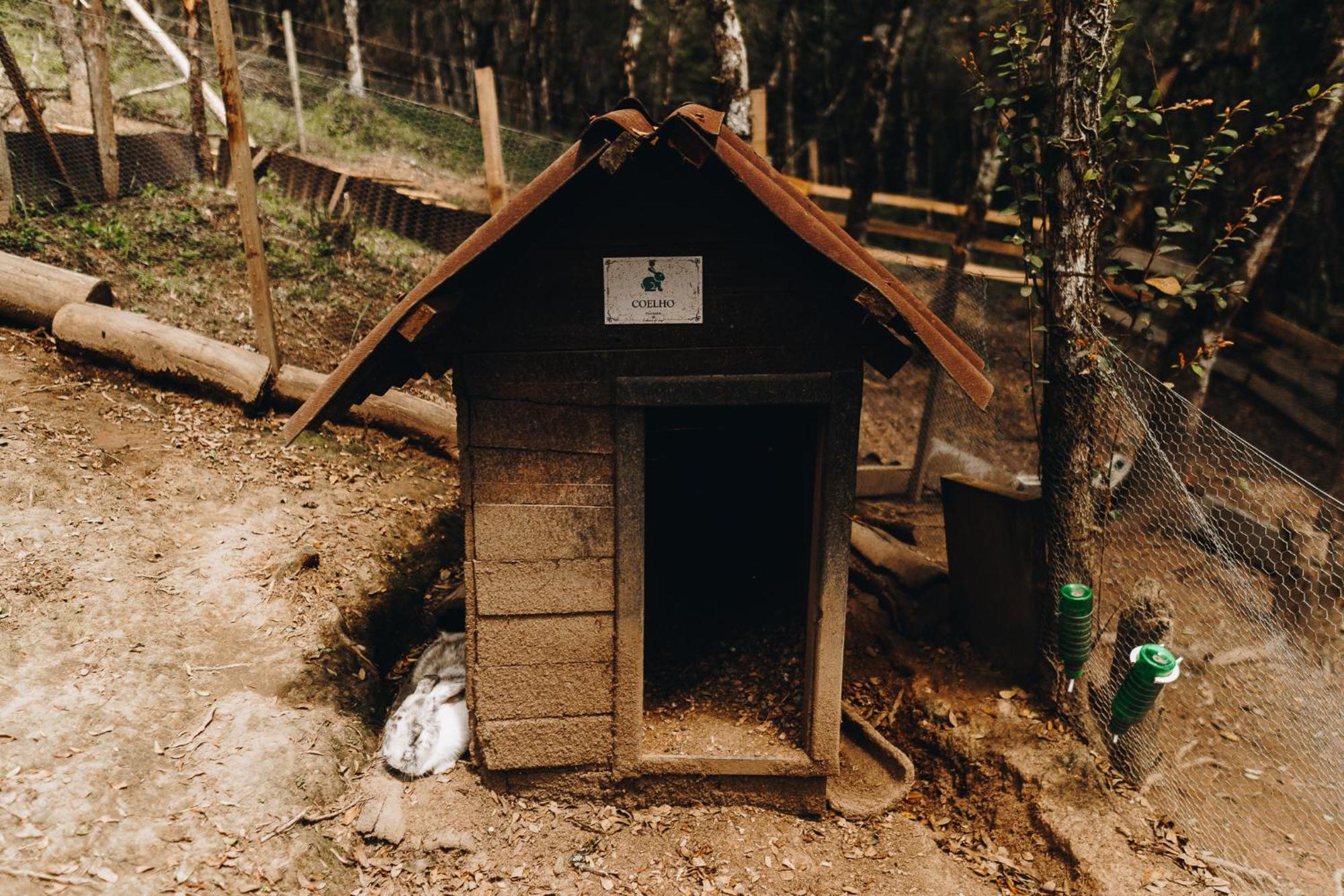 Chale Harmonia Da Floresta- Pousada Cachoeira Da Neve Urubici Buitenkant foto
